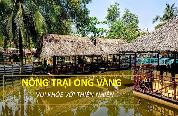Nông trại ong vàng