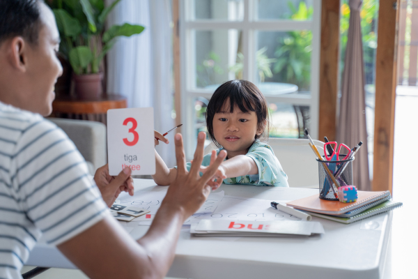 Đồ chơi phát triển trí tuệ cho bé - Flashcard